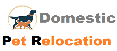 Pet Relocation Services in Madurai